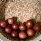 Black Copper Marans Hatching Eggs